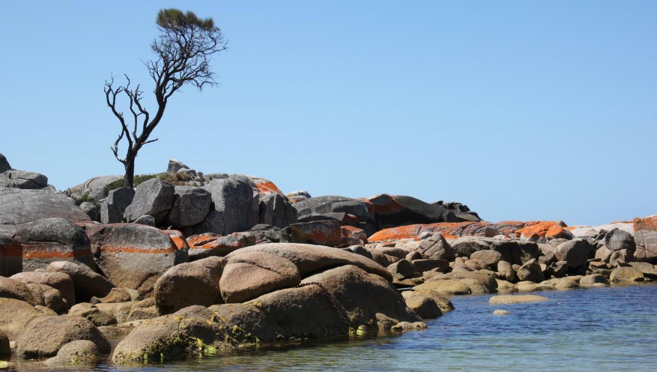 Bay Of Fires Seachange Ocean Frontage Binalong Bay ภายนอก รูปภาพ